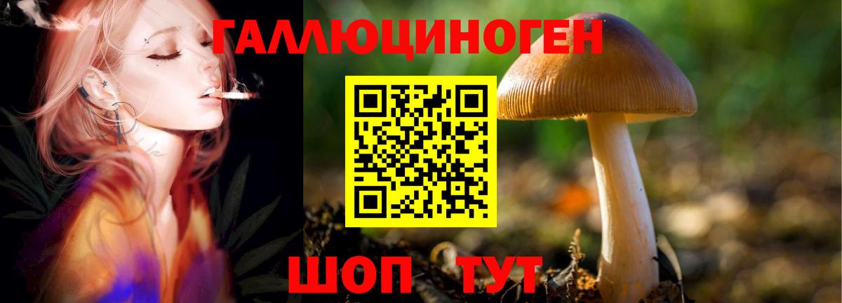 где найти наркотики  Вход с VPN  Курск  Галлюциногенные грибы MAGIC MUSHROOMS 