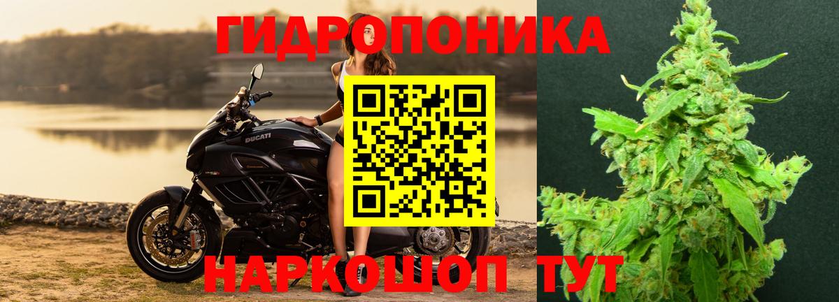 Курск  Каннабис LSD WEED  Вход с VPN  МАРИХУАНА план 